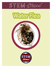 Water Flea Brochure's Thumbnail